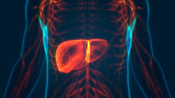 Best Hepatologist in Malad